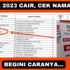 Bansos Cair Cek Namamu Dengan Mudah Secara Online di HPmu